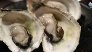 oyster-989179_640