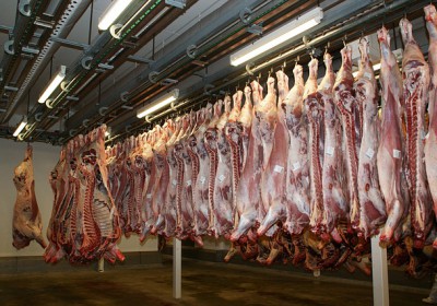 ABATTOIRS – LES PROPOSITIONS DU PARLEMENT