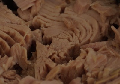 QU’Y A-T-IL DANS NOS BOITES DE THON