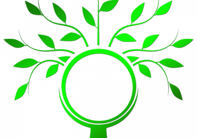 ELECTRICITE 100 % RENOUVELABLE