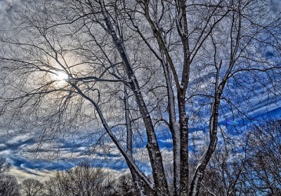 LES PRÉCAUTIONS A PRENDRE AVEC L’ARRIVÉE DU FROID