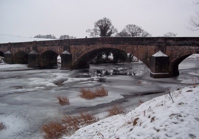 DÉGÂTS LIES AU GEL : QUE FAIRE ?