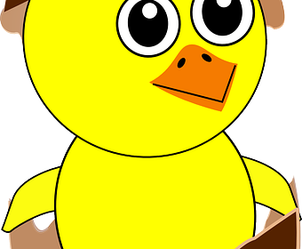 ŒUFS DE POULES EN CAGE