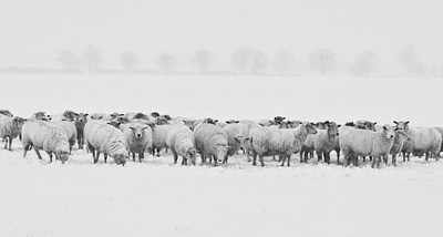 7  CONSEILS POUR SUPPORTER LE GRAND FROID