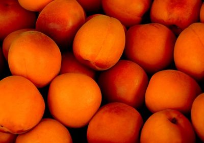 Alimentation L’abricot bientôt hors circuit court ?