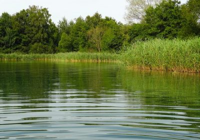 Assises de l’eau Sobriété et restauration des milieux doivent être au cœur de la stratégie gouvernementale