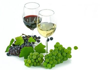 Vins L’histoire secrète des cépages interdits