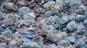 Tri et recyclage des déchets Des résultats insuffisants faute de sanctions dissuasives