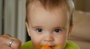 Alimentation pour bébés Rappel d’aliments à base de haricots verts