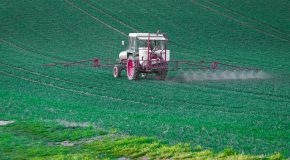 Pesticides Le combat se judiciarise
